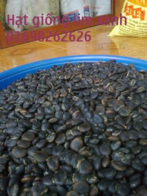 hạt lim xanh chất lượng cao