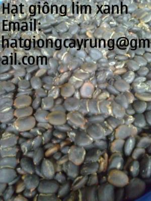 kho hạt giống lớn nhất cả nước