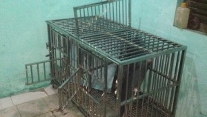 Chuồng chó inox