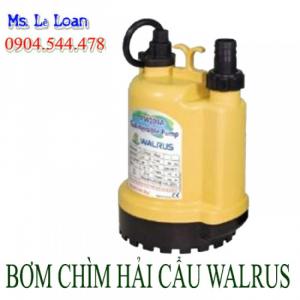 Bơm Nước Hòn Non Bộ, Bơm chìm Công suất Nhỏ