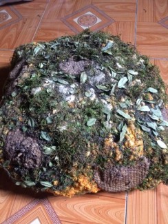 Mật ong đá rừng