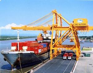 Đào tạo và cấp chứng chỉ vận hành cẩu trục, cẩu tháp, cần trục