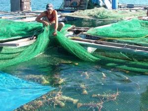 Tour Nha Trang 4 ngày 3 đêm Bao gồm Vinpearl Land Nha Trang