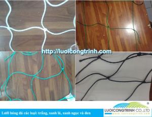Cung cấp các mặt hàng lưới xây dựng, lưới đá bóng, lưới bao quanh sân golf,cỏ nhân tạo.