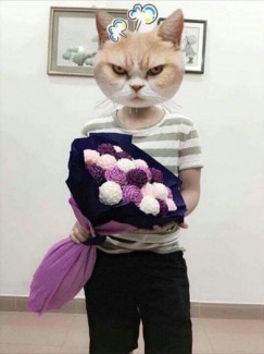 Hoa giấy