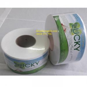 Chuyên cung cấp giấy vệ sinh cuộn lớn, giấy vệ sinh cuộn nhỏ cần thơ, miền tây