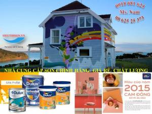 Nơi Mua Sơn Nước Nội Thất Dulux Lau Chùi Hiệu Quả