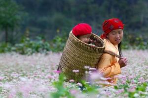 Tour Đông Tây Bắc Hà Giang - Cao Bằng - Bắc Kan 5N4Đ