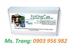 Chế phẩm vi sinh ecoclean 206 xử lý nước thải mía đường, cồn, rượu