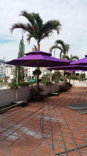 Dù cafe giá rẻ