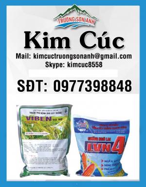Bao đựng lúa, bao phân bón, bao thức ăn gia súc, bao PP