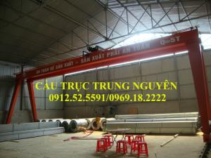 Cổng trục dầm đôi Q=5T - TẬP ĐOÀN HOA SEN