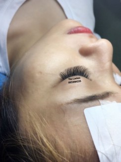 Nối mi volume
