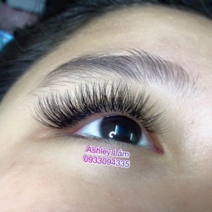 Nối mi volume