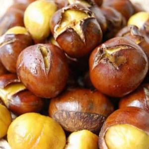 Hạt dẻ Trùng Khánh - Cao Bằng