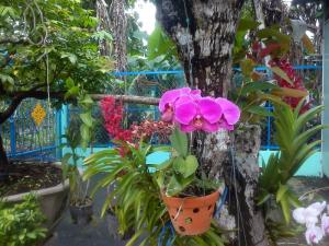 Bán căn nhà đường Trần Hữu Trang, phường 4, thành phố Cao lãnh