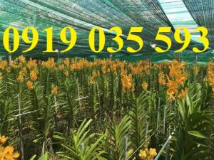 Lưới nông nghiệp che chắn côn trùng, lưới leo giàn cây, lưới nhà kính che nắng