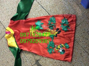 Trang phục biểu diễn hoa phượng bình phước