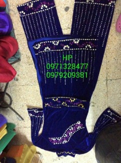 Trang phục biểu diễn hoa phượng bình phước