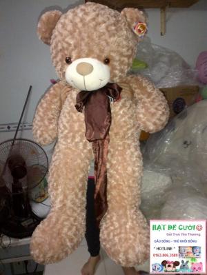 Gấu Teddy NƠ