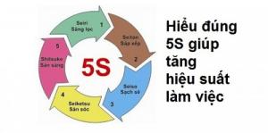 Tư vấn 5S