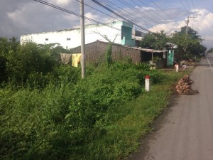 Đất nền mặt tiền quốc lộ Xã Tân Phong Giá Rai Bạc Liêu