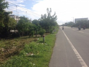 Đất nền mặt tiền quốc lộ Xã Tân Phong Giá Rai Bạc Liêu