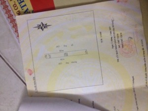 Bán biệt thự Sân Vườn