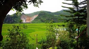 BEVERLY HILL - Khơi Nguồn Cuộc Sống