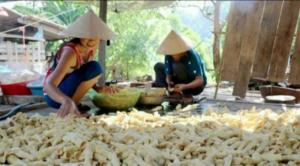 Măng khô sạch không hóa chất