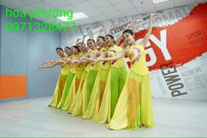 Trang phục biểu diễn dân tộc áo dài âu lạc hoa phượng bình dương