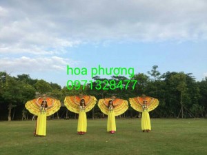 Trang phục biểu diễn dân tộc áo dài âu lạc hoa phượng bình dương