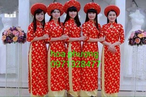 Trang phục biểu diễn dân tộc áo dài âu lạc hoa phượng bình dương