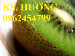 Bán cây giống kiwi (cây ki wi), cây kiwi, giống cây kiwi, kiwi, hạt giống kiwi nhập khẩu chất lượng cao