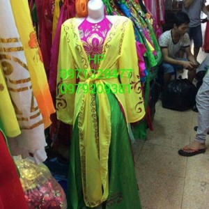 Cho thuê và bán trang phục biểu diễn bình dương