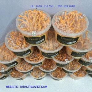Nấm Đông Trùng Hạ Thảo Tươi Thiên Phúc