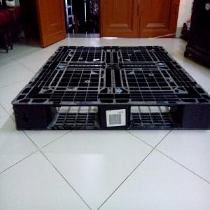 Pallet nhựa qua sử dụng (đóng hàng xuất khẩu)