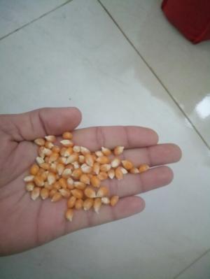 Nơi bán nguyên liệu làm bắp rang bơ tại Hà Nội