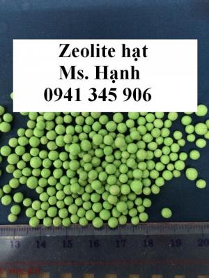 Chuyên cung cấp Zeolite bột, hạt