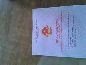 Cần bán đất nền gần khu đông lạnh ,bia sư tư trắng