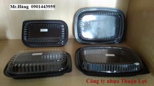 Hộp nhựa dùng 1 lần
