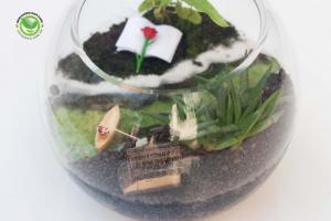 Terrarium người lái đò - Quà tặng thầy cô ngày 20-11