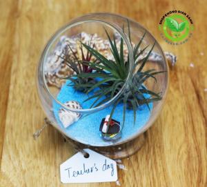 Quà tặng 20 tháng 11