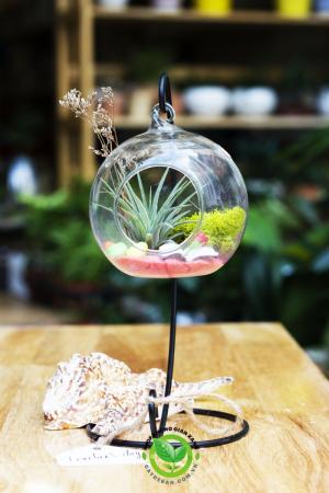 Quà Tặng 20 tháng 11