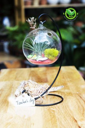 Quà Tặng 20 tháng 11