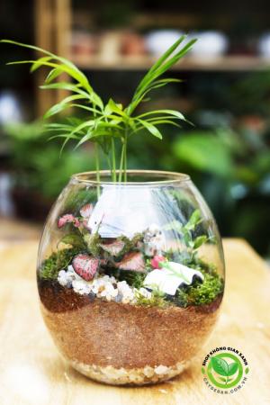 Tiểu cảnh mini đẹp