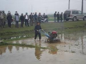 Máy cày 1Z-41A làm lúa nước, trồng màu...