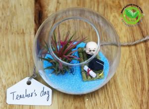 Terrarium quà tặng 20-11