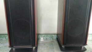 Loa karaoke âm thanh cực đỉnh