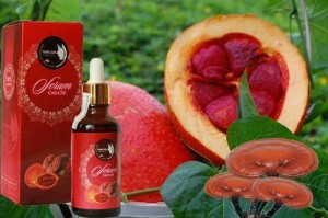 Serum Linh Chi Gấc Cao Cấp Trị Nám, Tàn Nhang, Làm Đẹp Da, Sáng Mắt